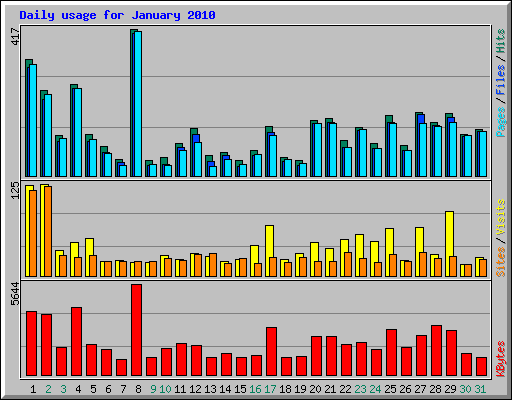 Daily usage for January 2010