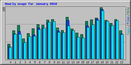 Hourly usage for January 2010