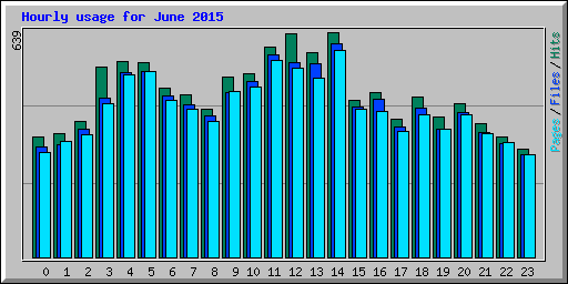 Hourly usage for June 2015