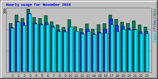 Hourly usage for November 2016