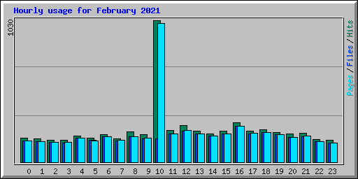 Hourly usage for February 2021