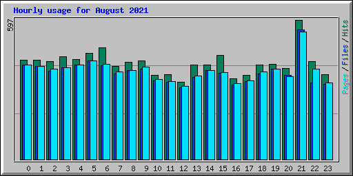 Hourly usage for August 2021